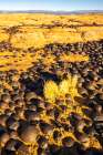 USA- Utah- Grand Staircase Escalante National Monument. Moqui marbles stones and rocks. Art Print